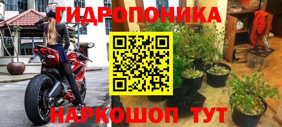 Марихуана MAZAR  Бошки марихуана ГИДРОПОН  Кимовск  Вход с VPN  Бошки Шишки марихуана 